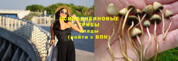 не бодяженный Сосновый Бор