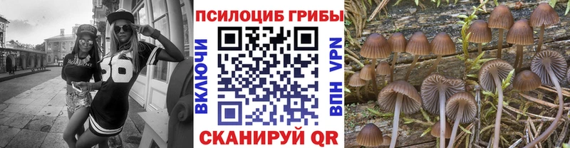 Псилоцибиновые грибы Psilocybe  omg ТОР  Семикаракорск 